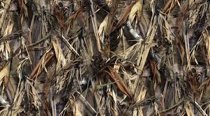 REALTREE® DRT HEADLINER