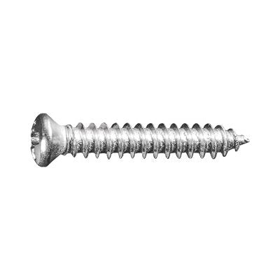 PHILLIPS OVAL HEAD TAP SCREW #8 X 1 #6HD CHROME