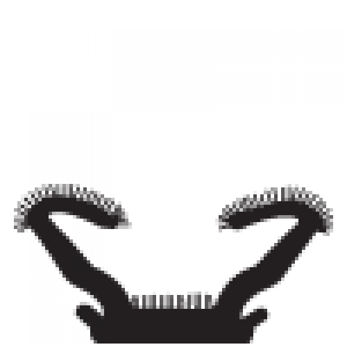 Window Channel, Windlace, and Weatherstrip