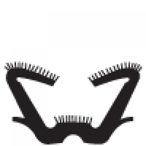 Window Channel, Windlace, and Weatherstrip