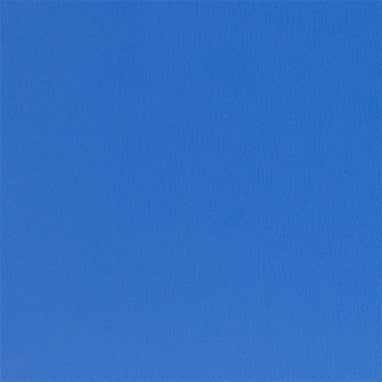 Naugahyde Spirit Millennium