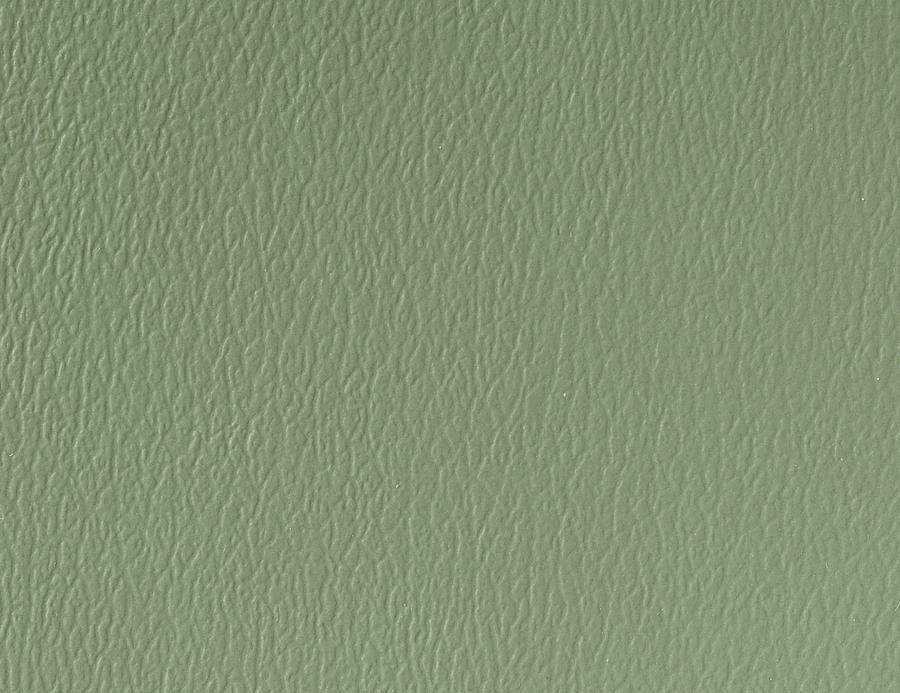 Naugahyde Neochrome III