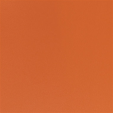 Naugahyde Spirit Millennium