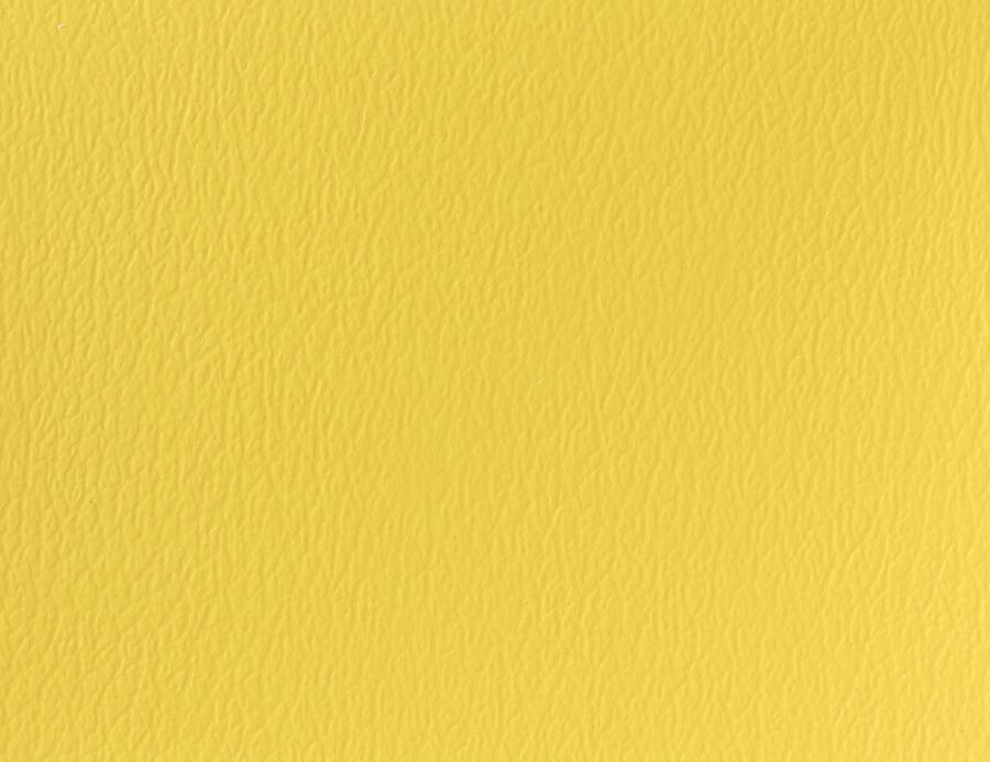 Naugahyde Spirit Millennium