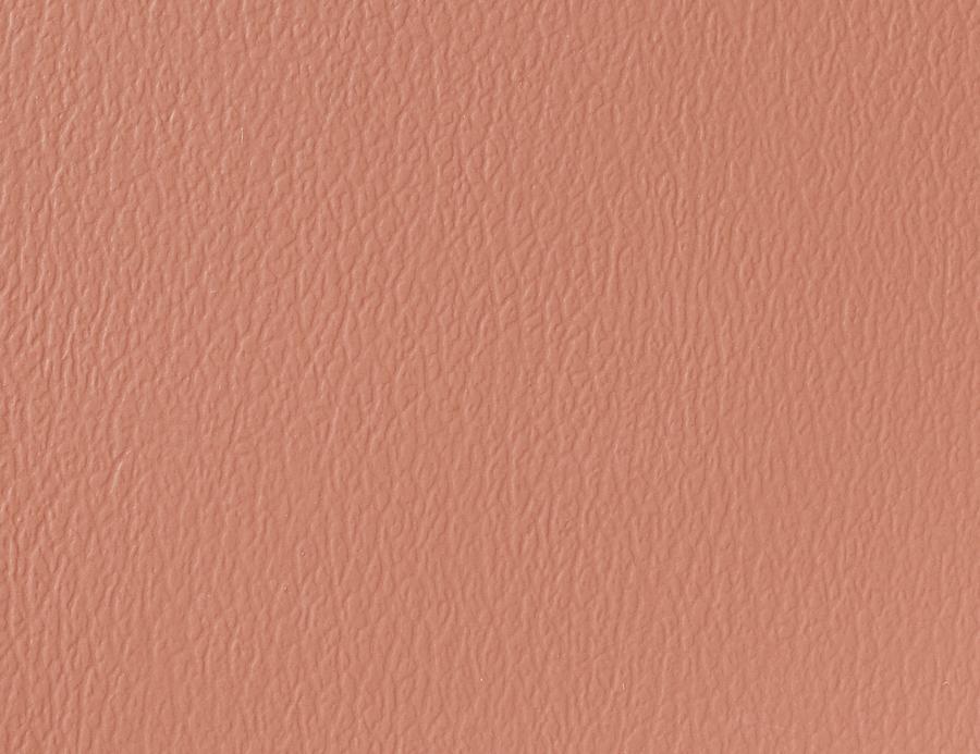 Naugahyde Spirit Millennium