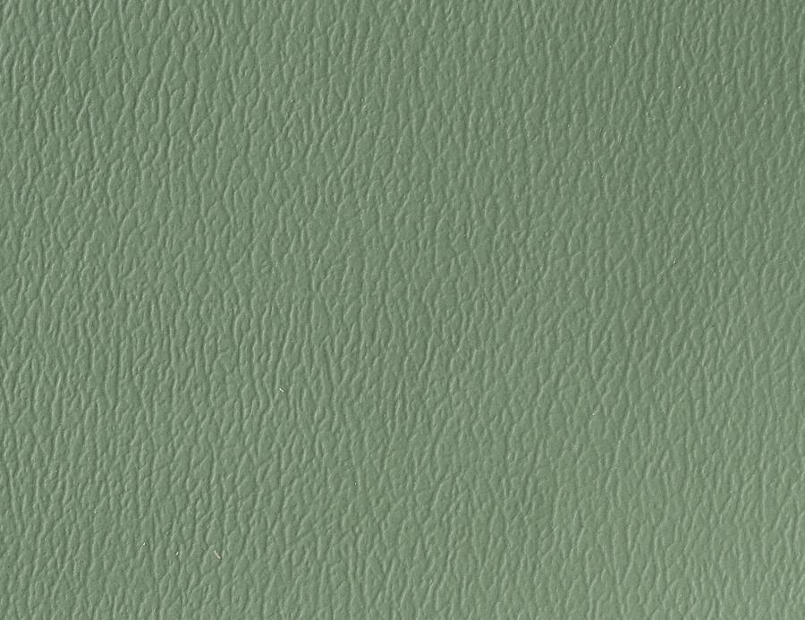 Naugahyde Spirit Millennium