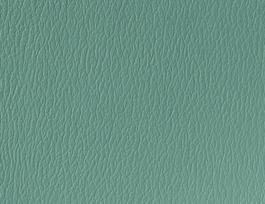 Naugahyde Spirit Millennium