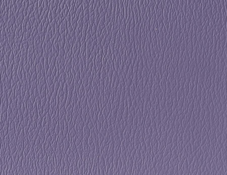 Naugahyde Spirit Millennium