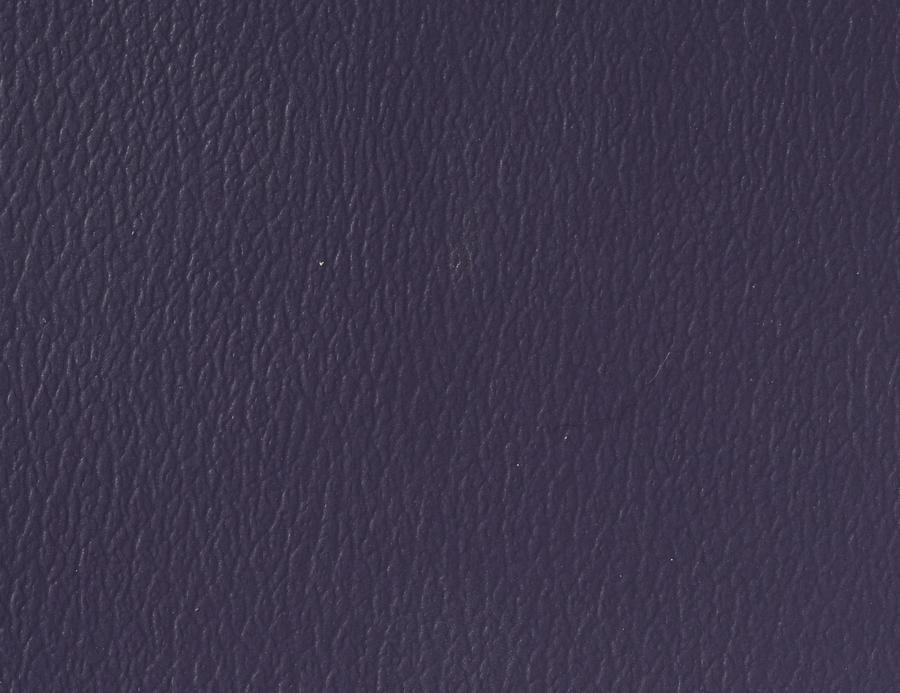 Naugahyde Spirit Millennium