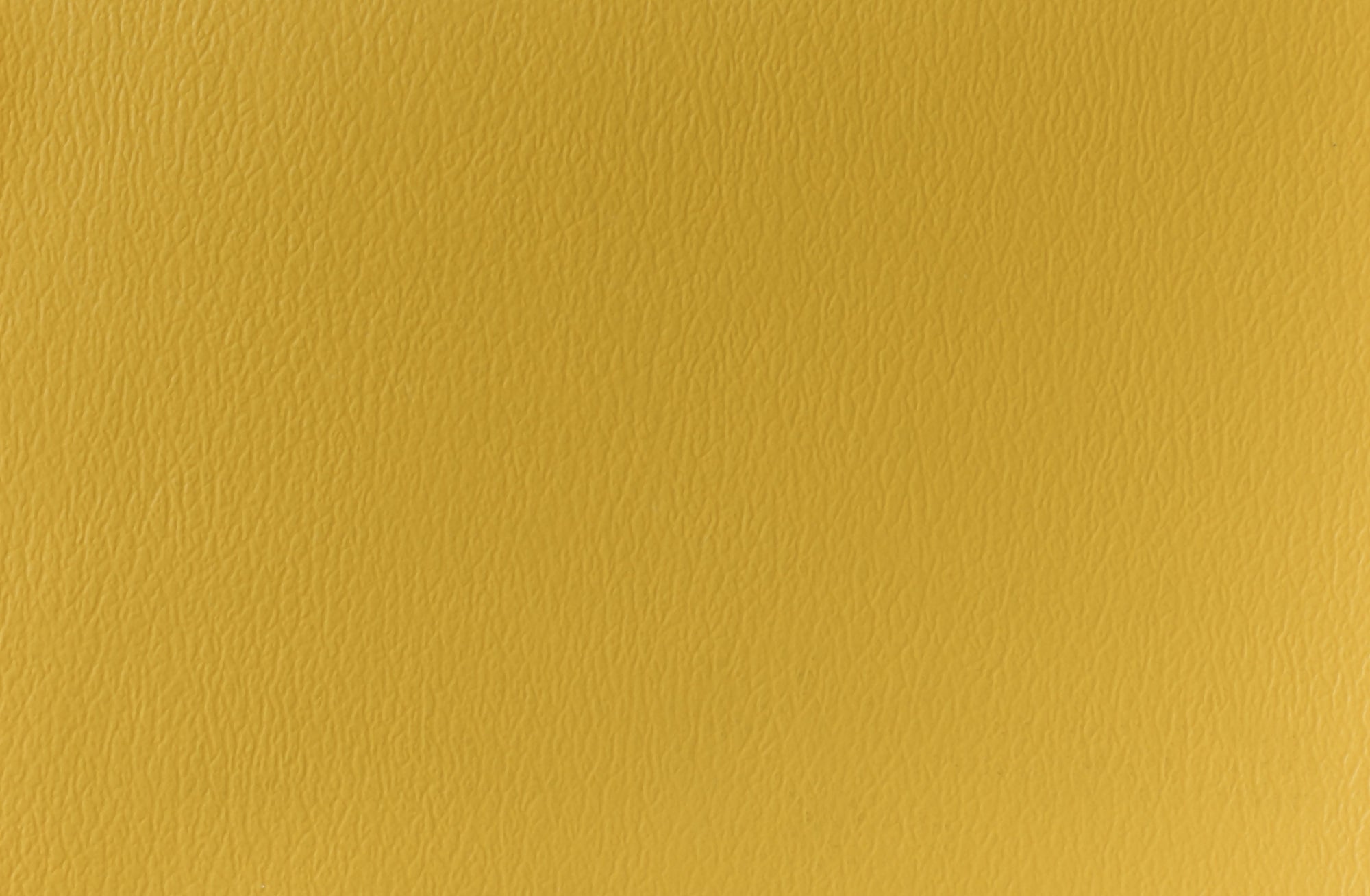 Naugahyde Spirit Millennium