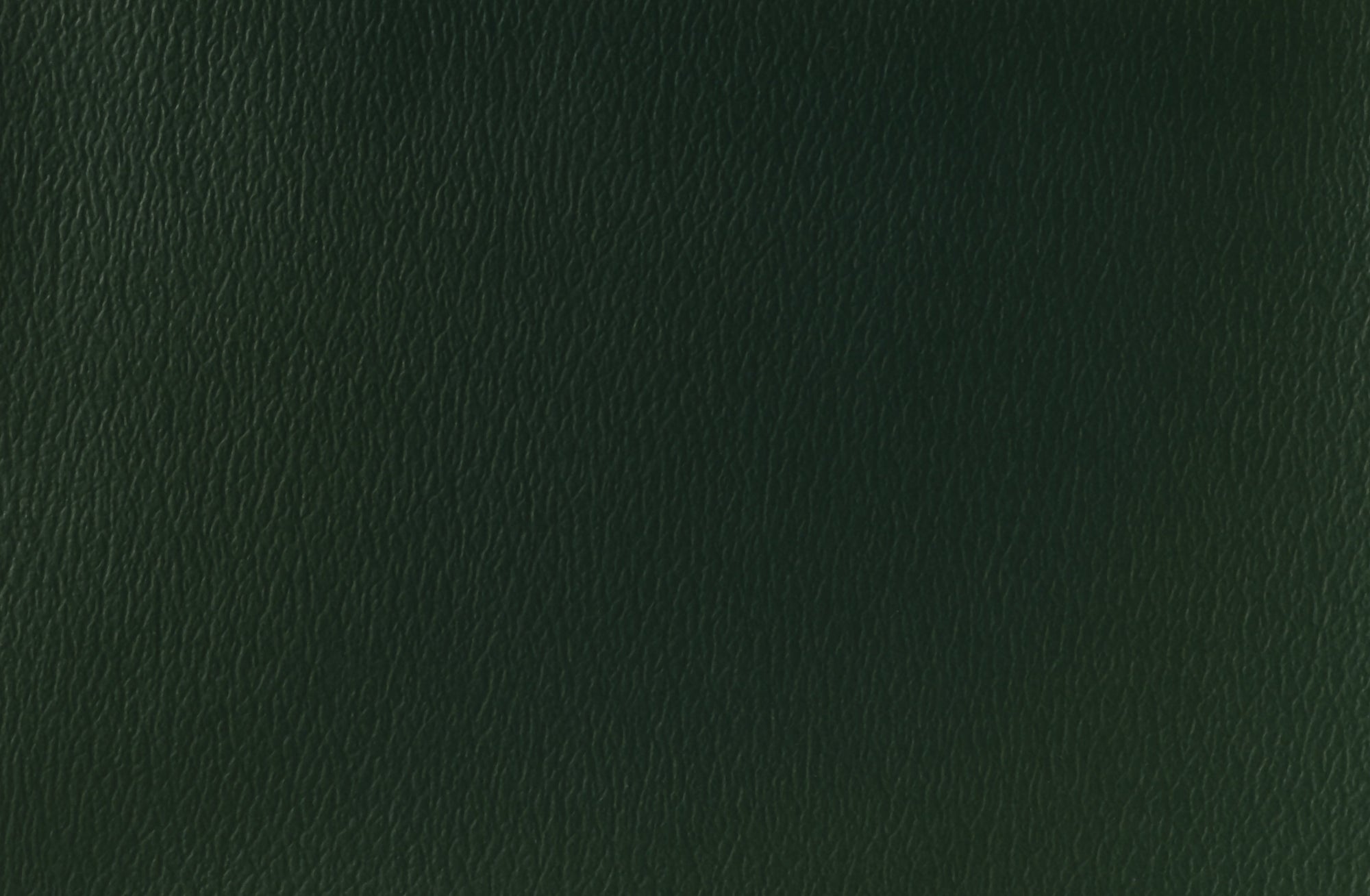 Naugahyde Spirit Millennium