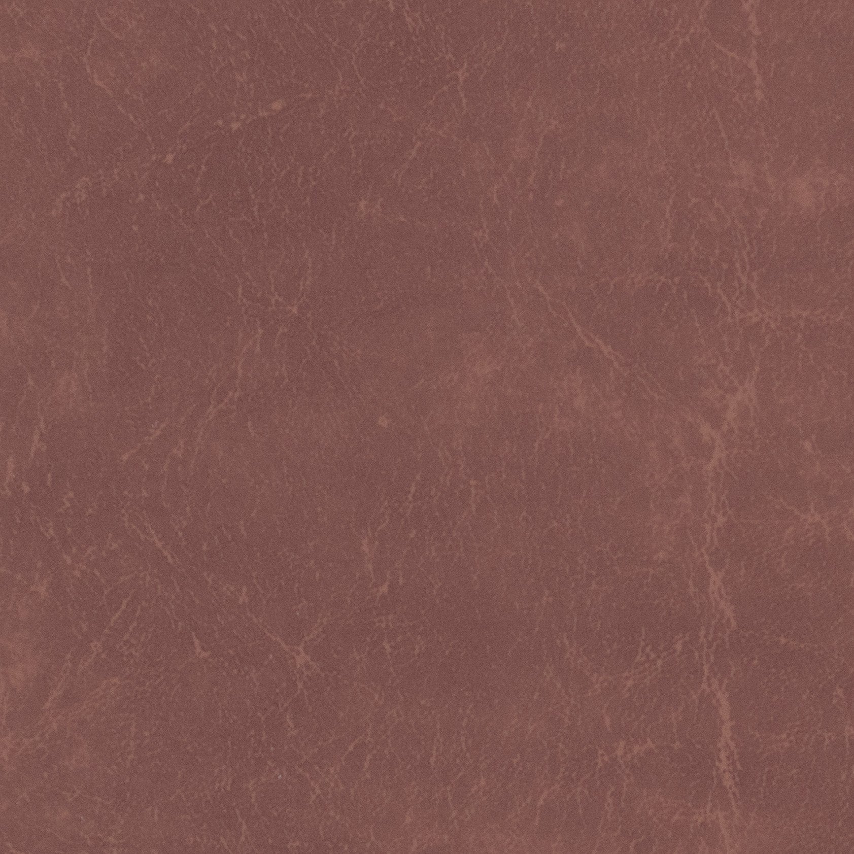Carrara Vinyl