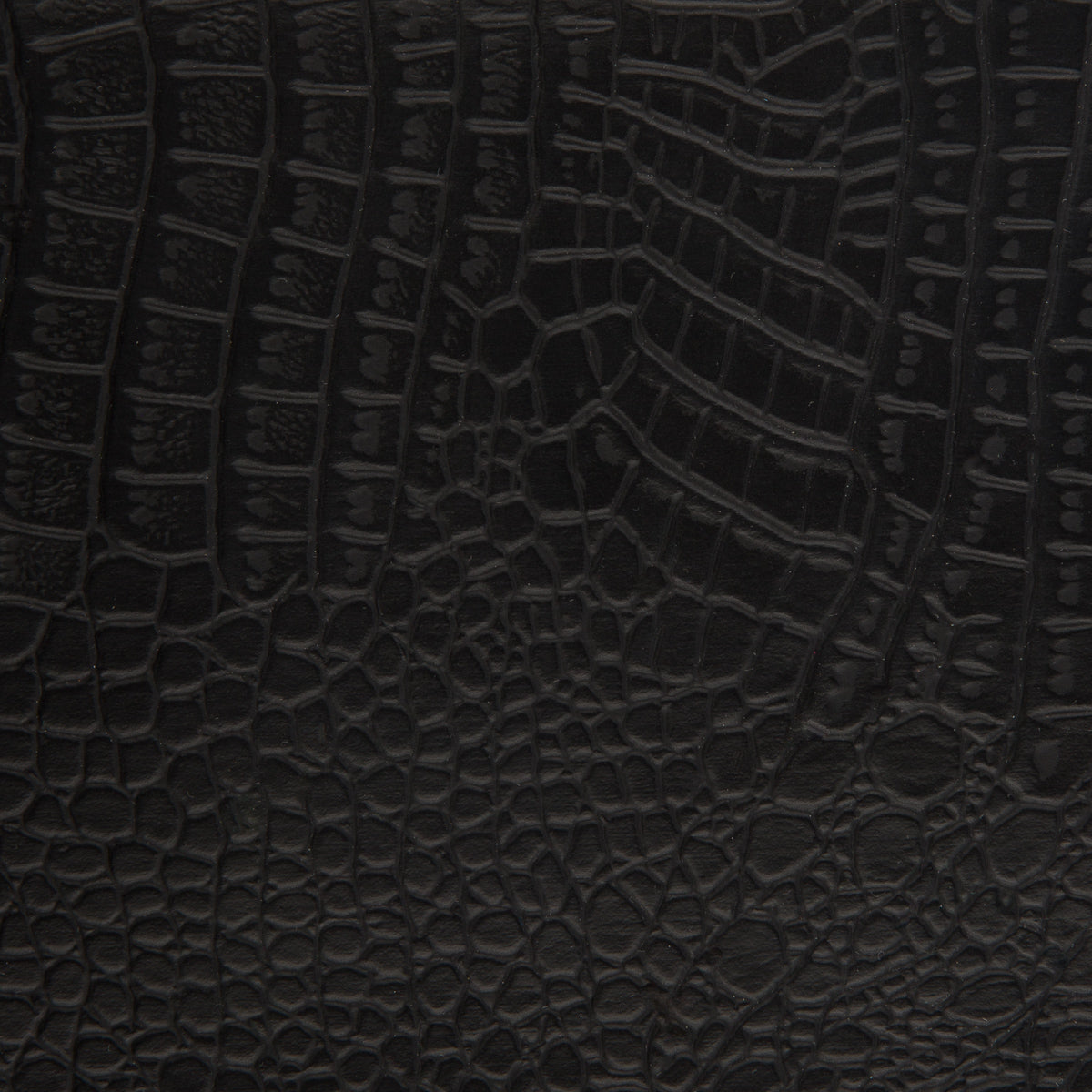 Black Crocodile Vinyl